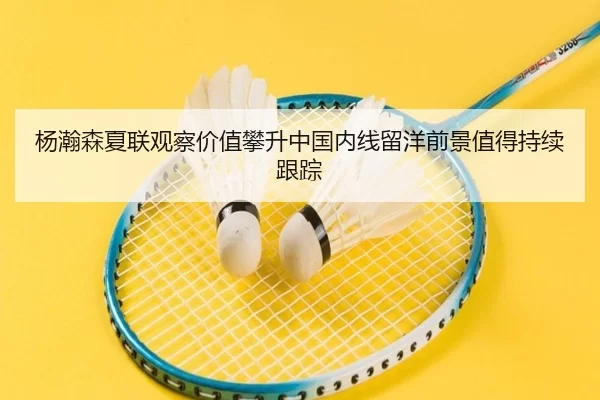 杨瀚森夏联观察价值攀升中国内线留洋前景值得持续跟踪